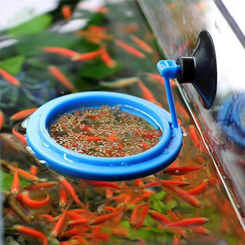 Aquarium Plant Nutrients - Novo anel de alimentação do aquário