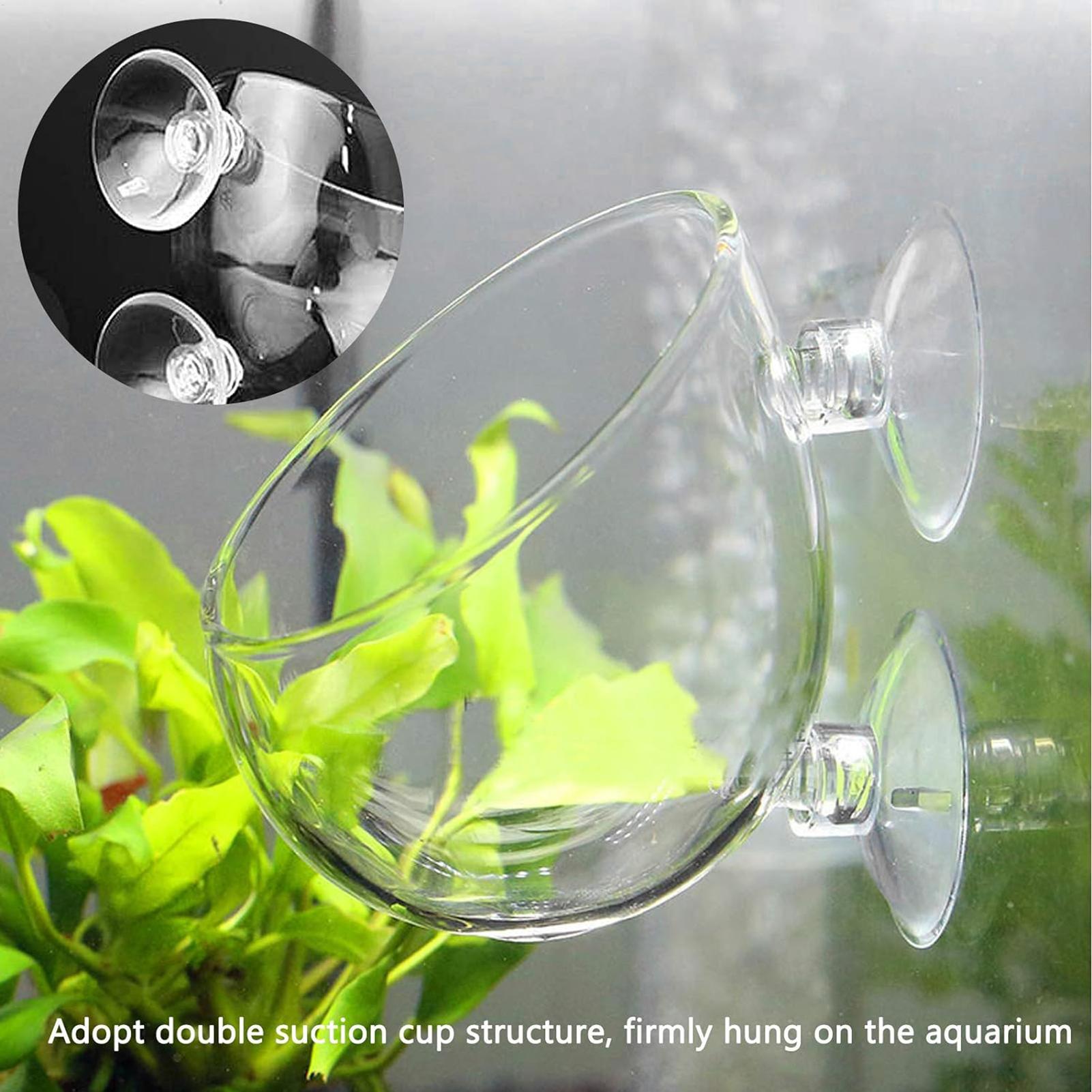 Aquarium Plant Dip - Vaso de vidro para plantas de