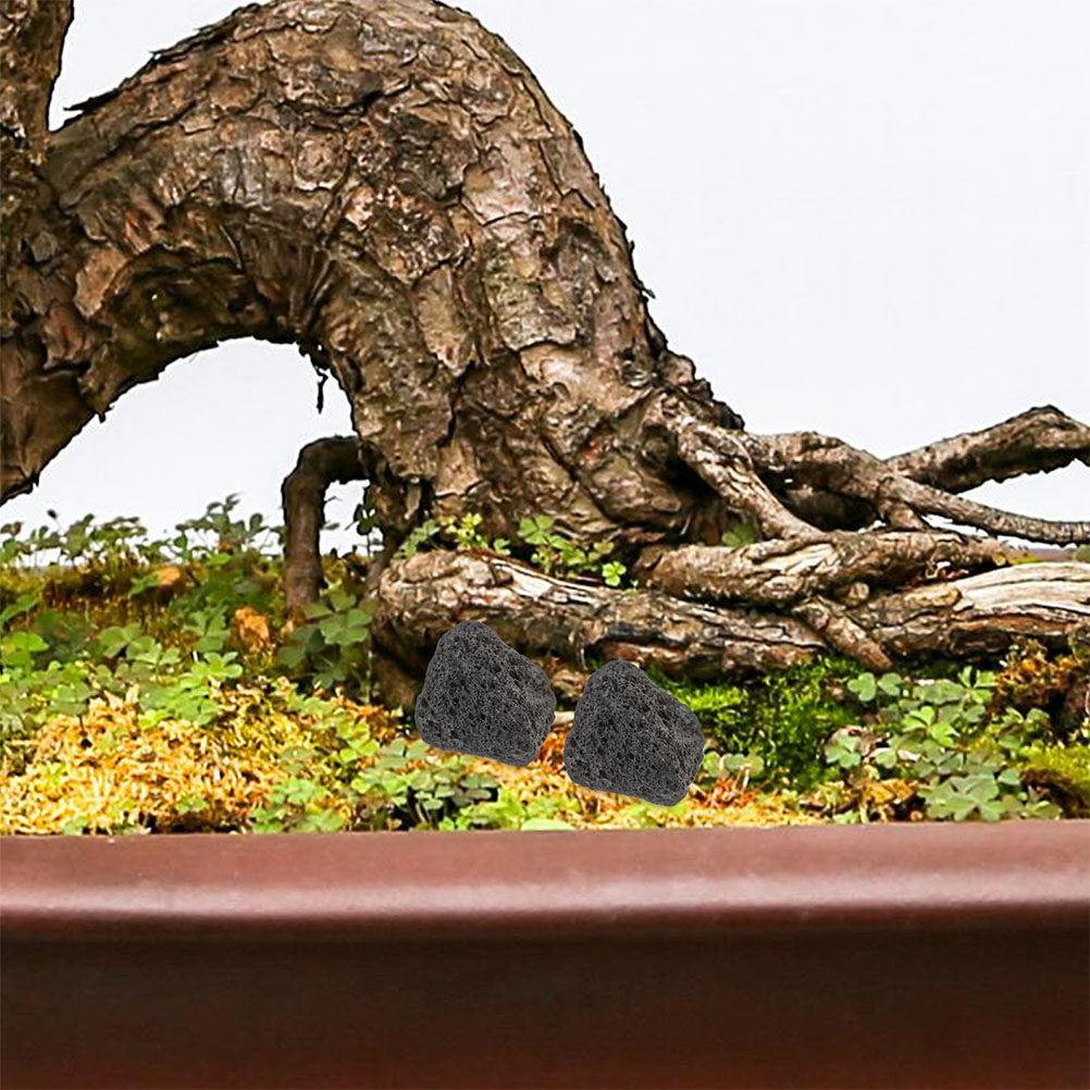 Planted Aquarium With Rocks - Pedras Vulcânicas Naturais para Aquário, Pequenas