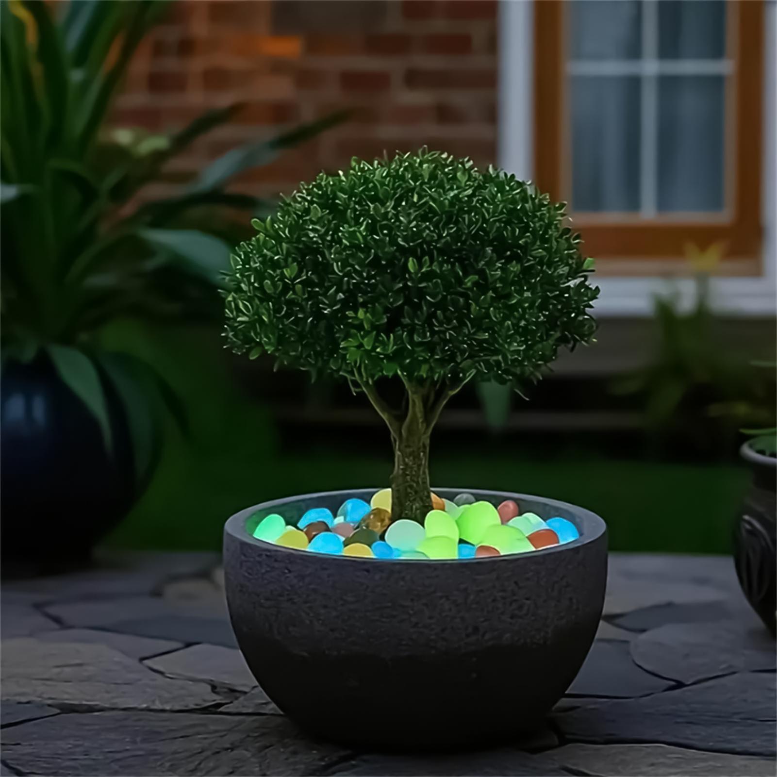 Planted Aquarium With Rocks - Pedras para Paisagismo 20 Peças 1.8