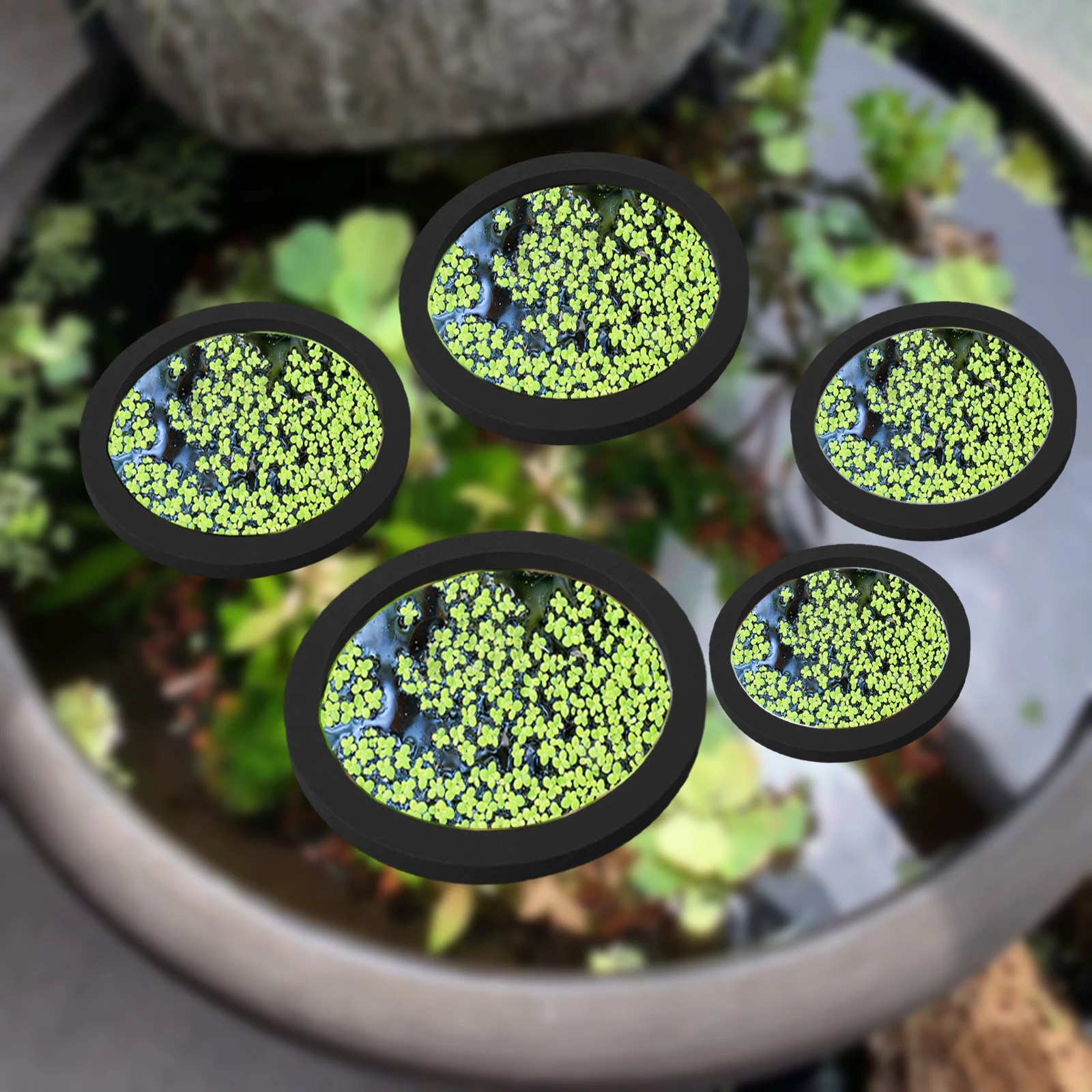 Aquarium Plant Delivery - 5 pçs eva anel de alimentação
