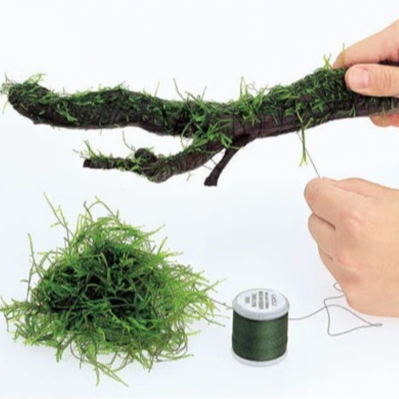 Planted Aquarium With Rocks - Fio de Musgo Biodegradável para Aquário