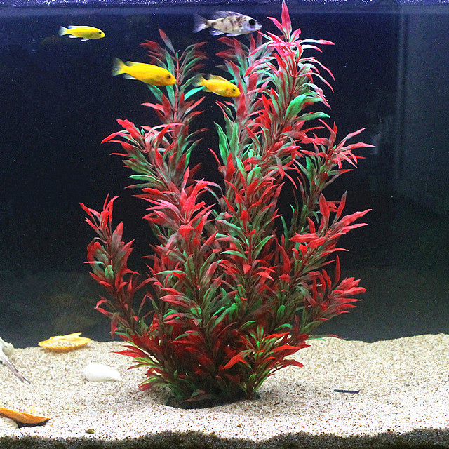 Aquarium Plant Delivery - Plantas Artificiais Raras para Aquário de