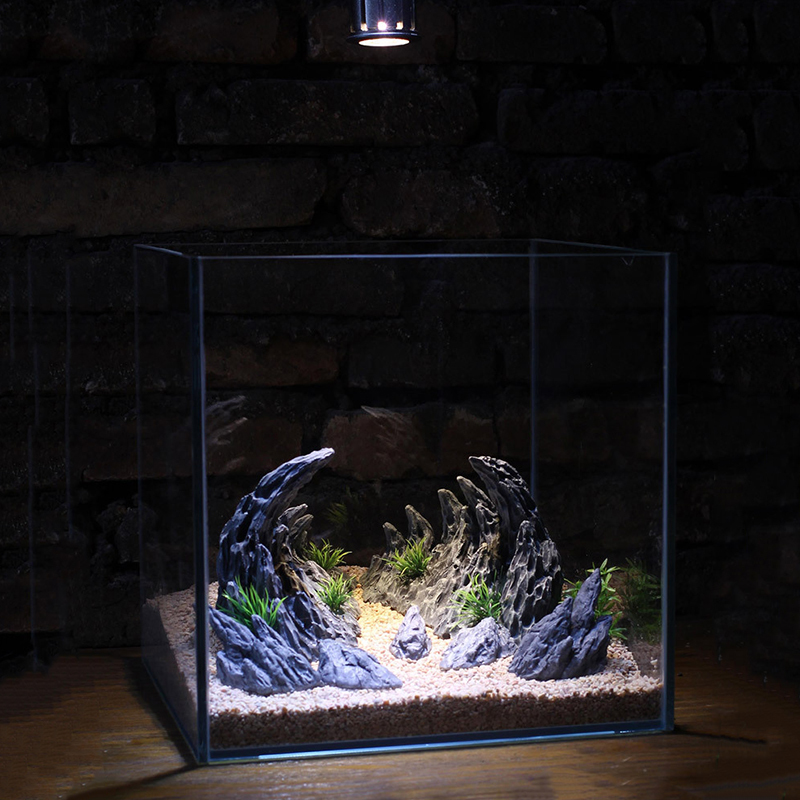 Planted Aquarium With Rocks - Ajardinando a pedra para o aquário,