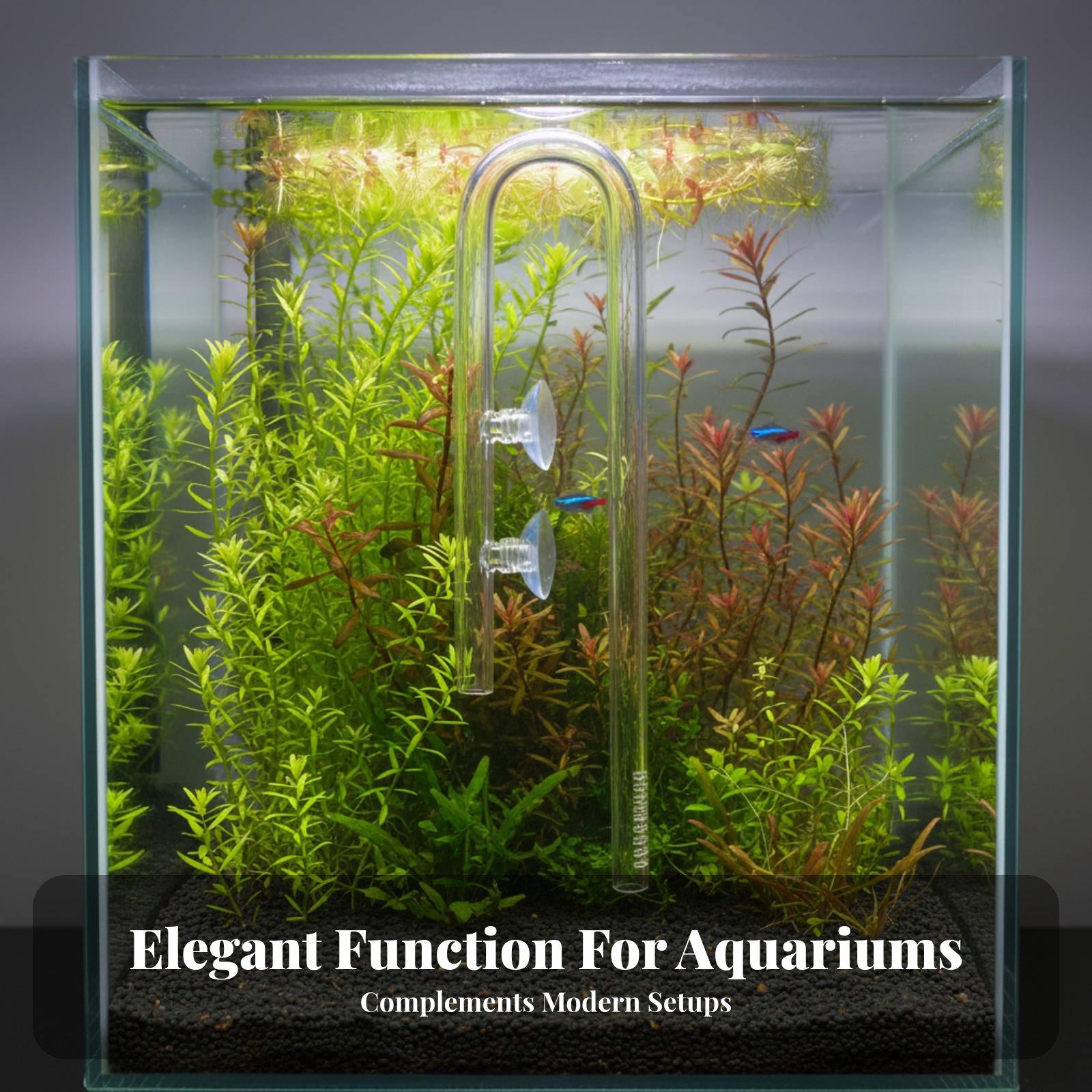 Elegante Tubo de Vidro para En - Aquarium Plant Nutrients avaliação e preço