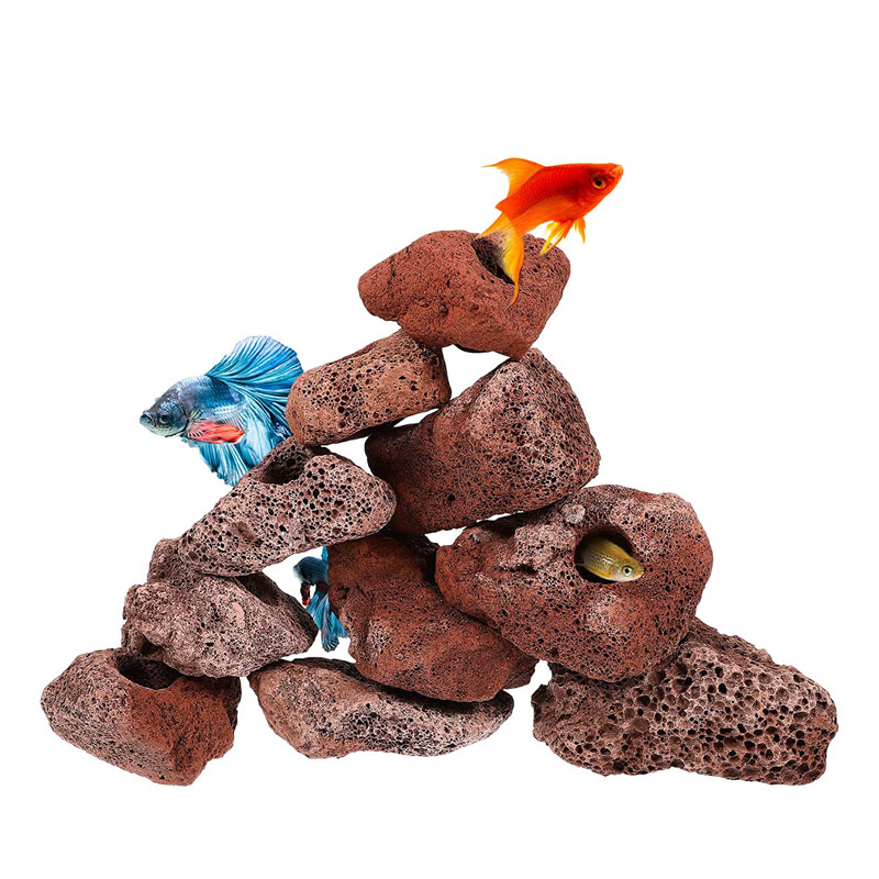 Agujero aberto rocha peixe cam - Planted Aquarium With Rocks avaliação e preço