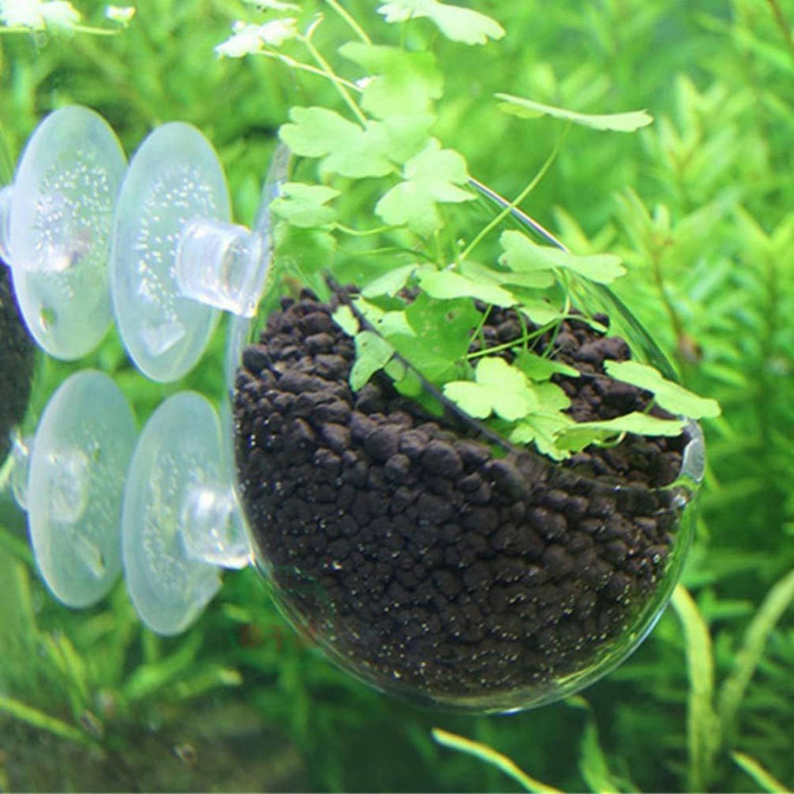 Suporte de Plantas para Aquári - Aquarium Plant Dip avaliação e preço