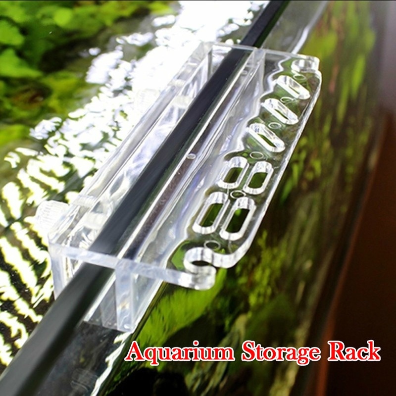1 pçs novo aquário planta ferr - Aquarium Plant Delivery avaliação e preço