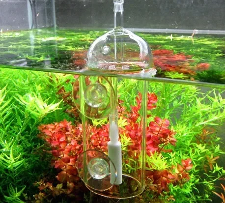 Viv fazer dispositivo cilindro - Aquarium Plant Delivery avaliação e preço