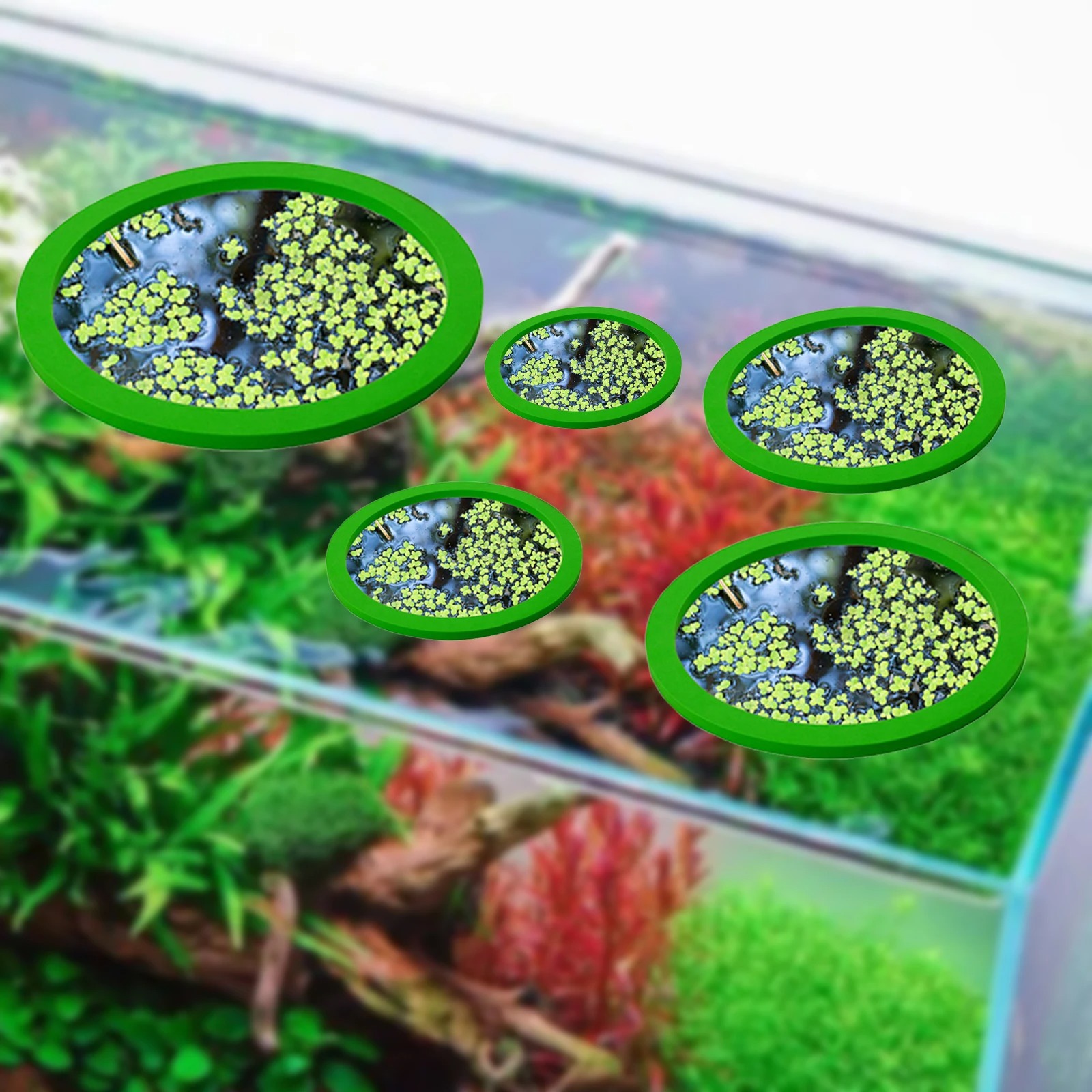 5 pçs eva anel de alimentação  - Aquarium Plant Delivery avaliação e preço