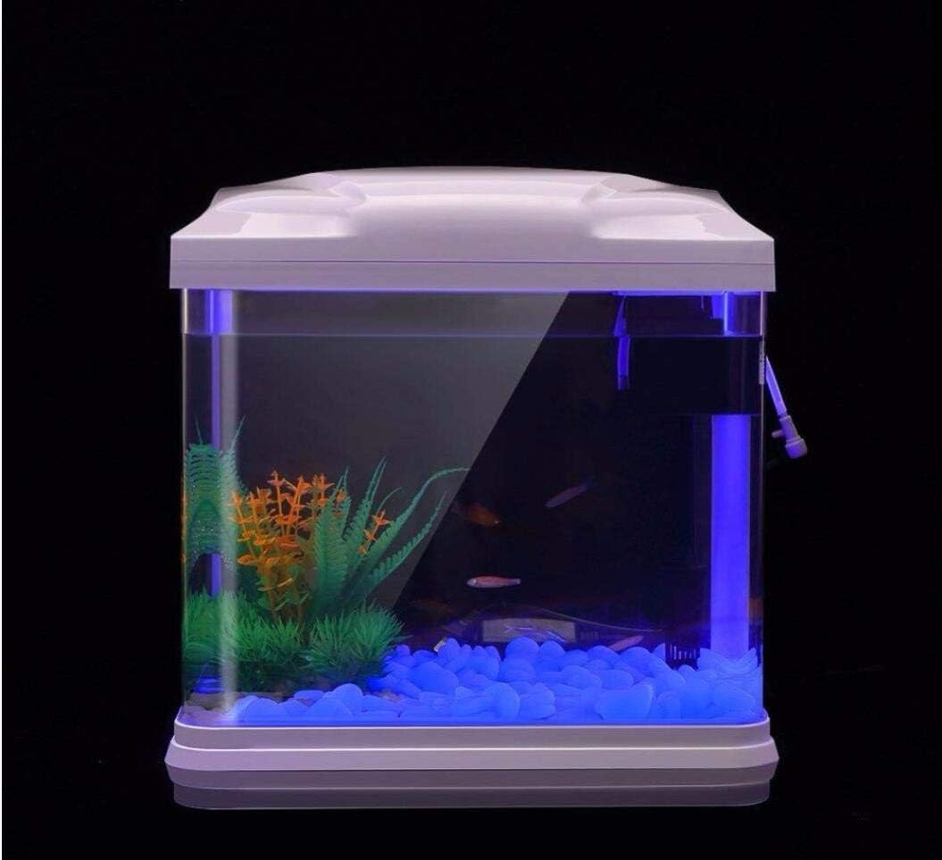 Rochas do tanque de peixes bri - Planted Aquarium With Rocks avaliação e preço