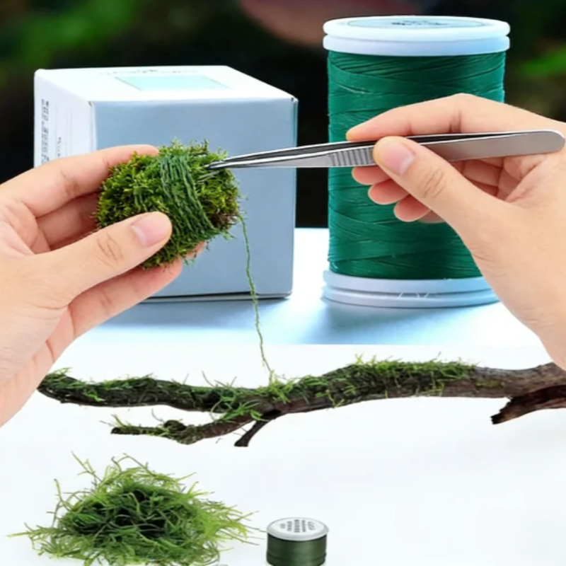 Fio de Musgo Biodegradável par - Planted Aquarium With Rocks avaliação e preço