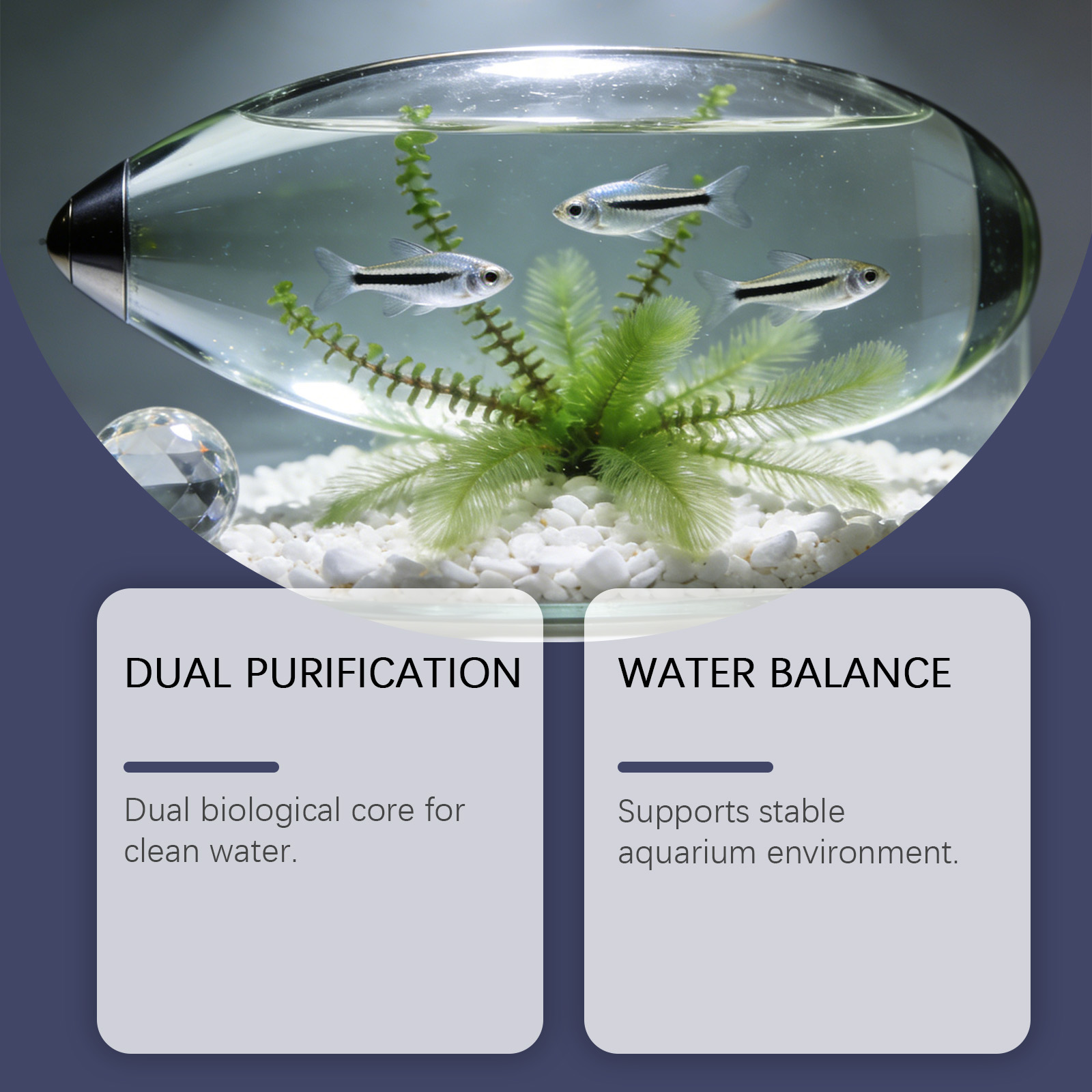 Comprimidos Removedores de Alg - Planted Aquarium Algae Remover avaliação e preço
