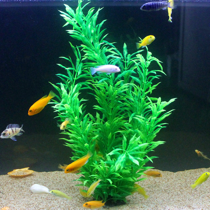 Plantas Artificiais Raras para - Aquarium Plant Delivery avaliação e preço