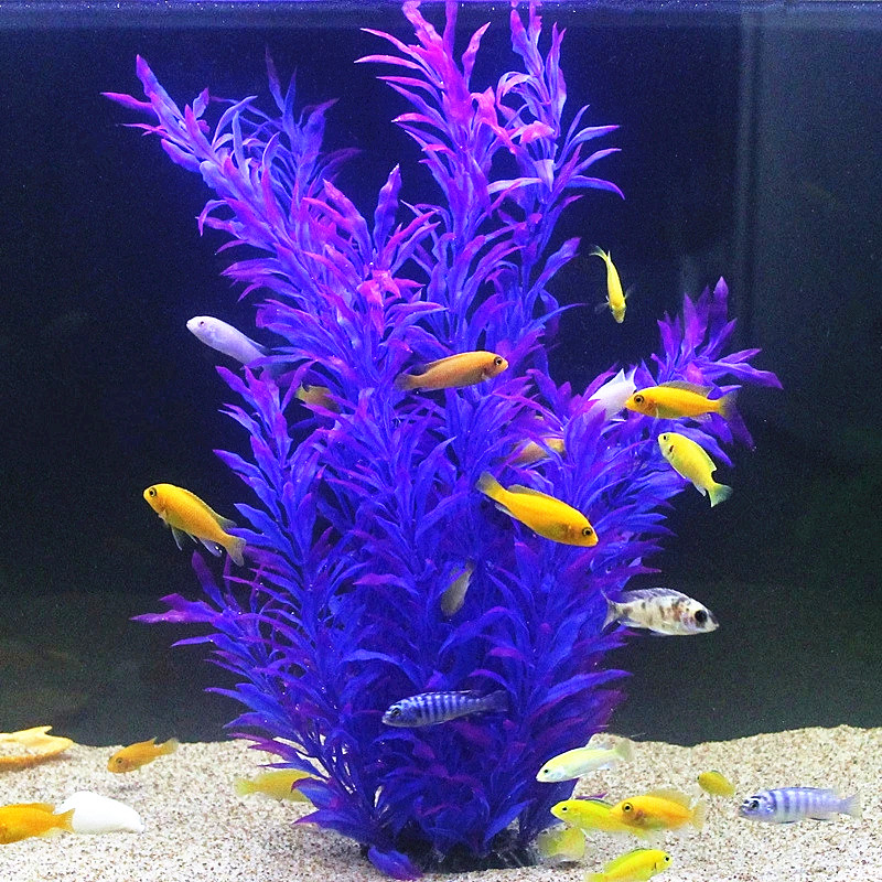 Plantas Artificiais Raras para - Aquarium Plant Delivery avaliação e preço
