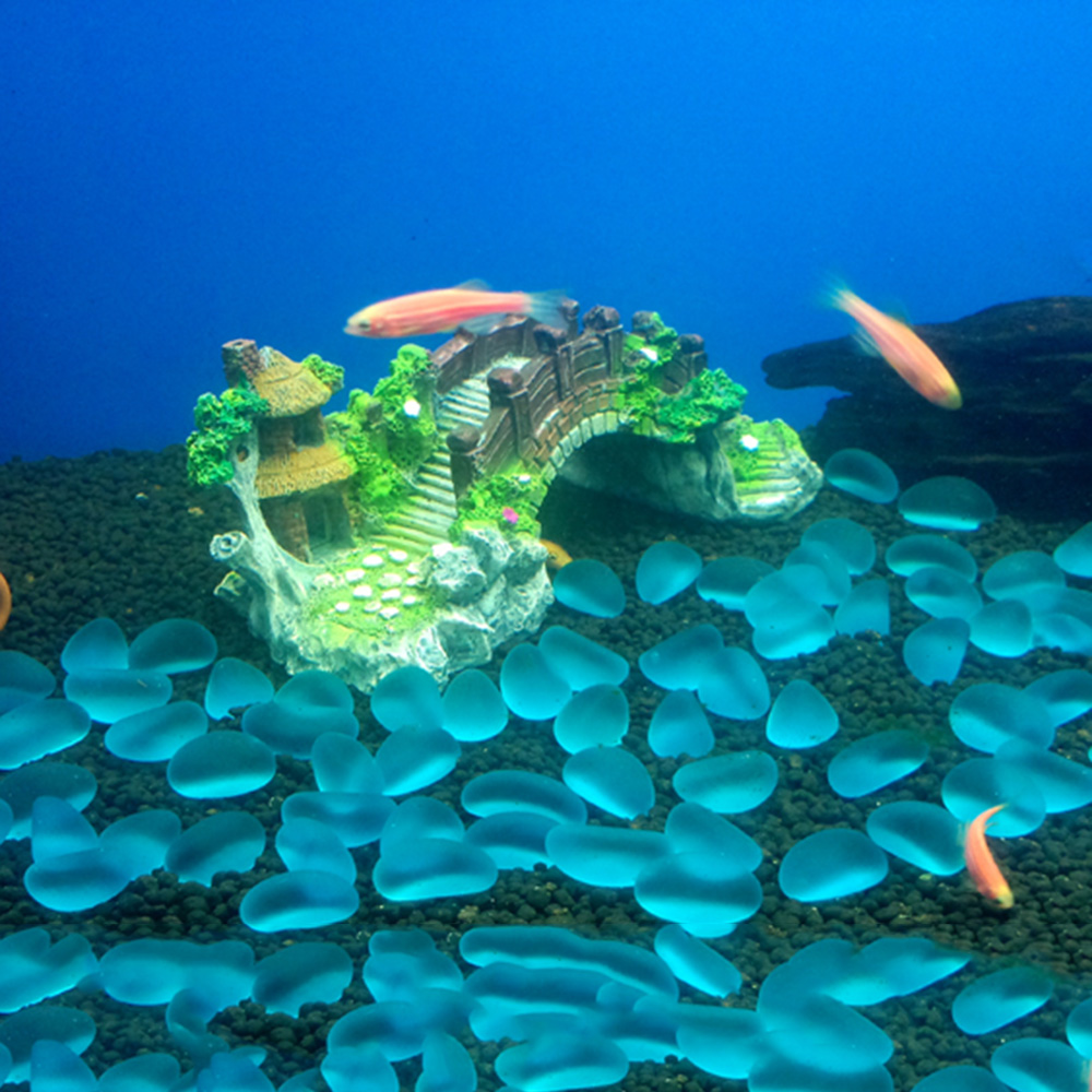 Acessórios para aquário, árvor - Planted Aquarium With Rocks avaliação e preço